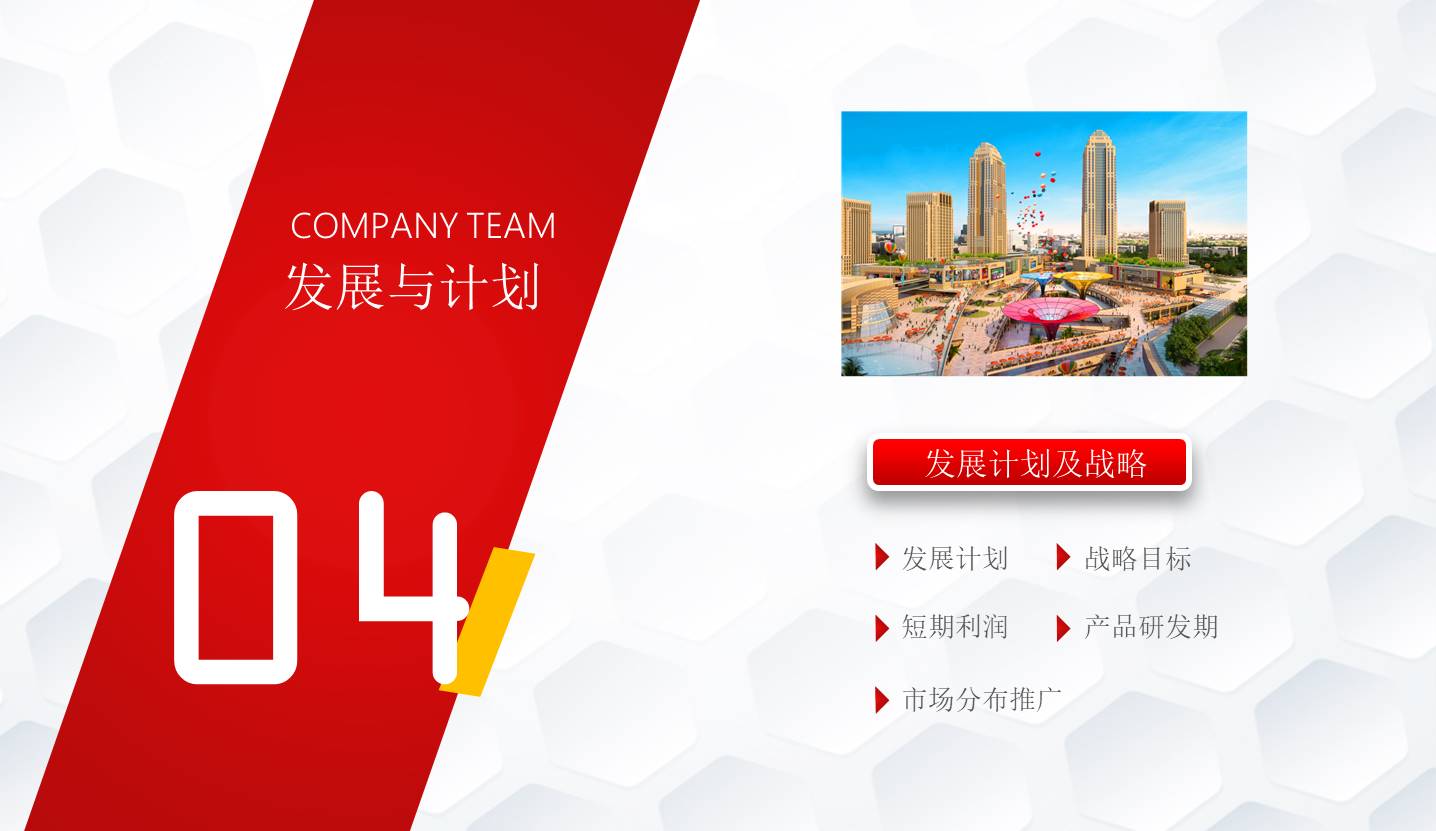 项目策划 (43).pptx